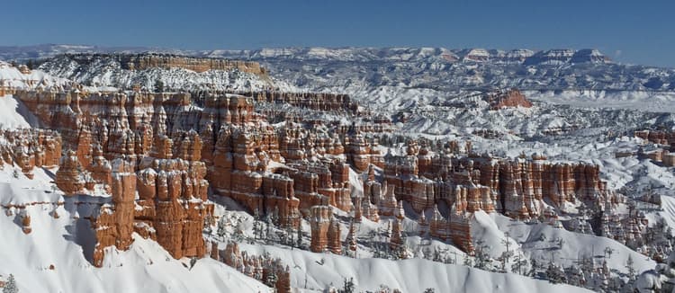 Embracing openness in delivering an API for digital public goods