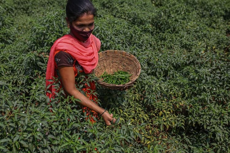 Digital Public Infrastructure for An Inclusive Future