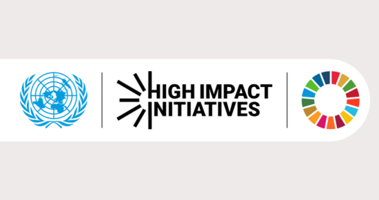 UN High Impact Initiative: Digital Public Infrastructure - image